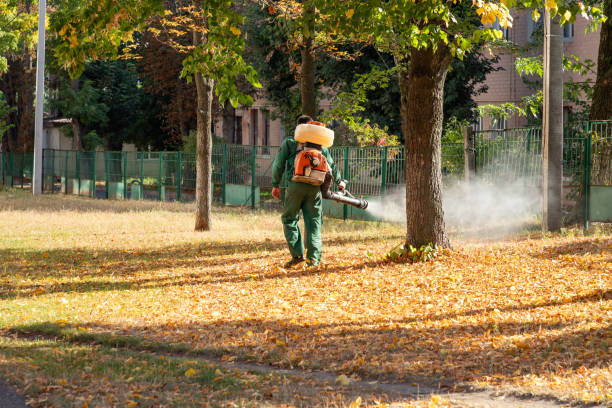 Pest Prevention Services in Wheaton, MD